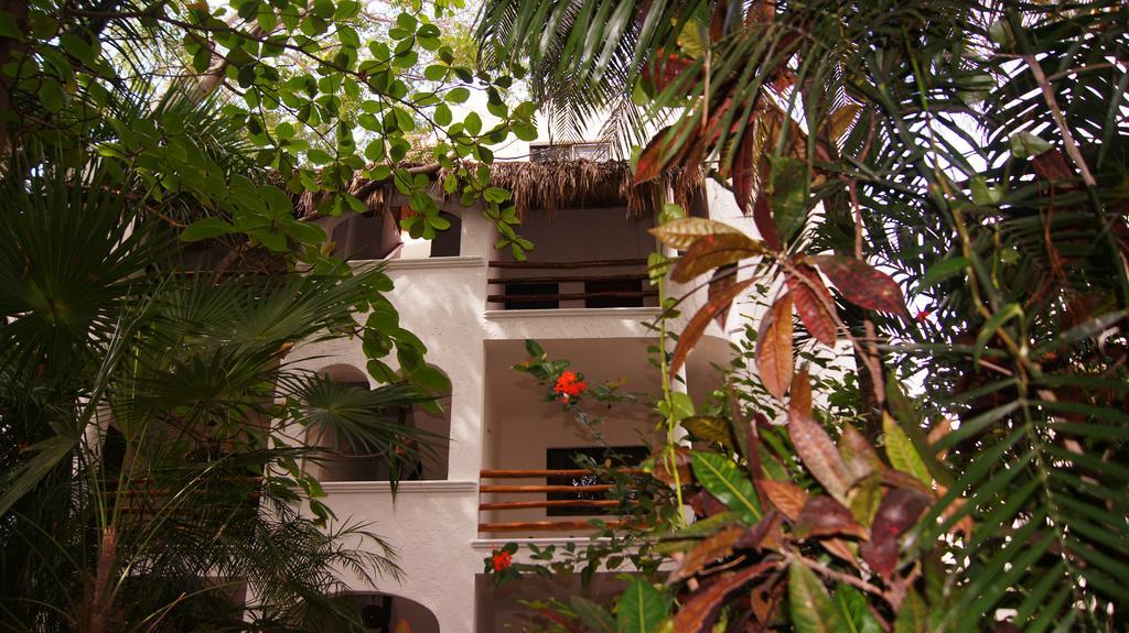 Luna Blue Hotel Playa Del Carmen Exteriör bild