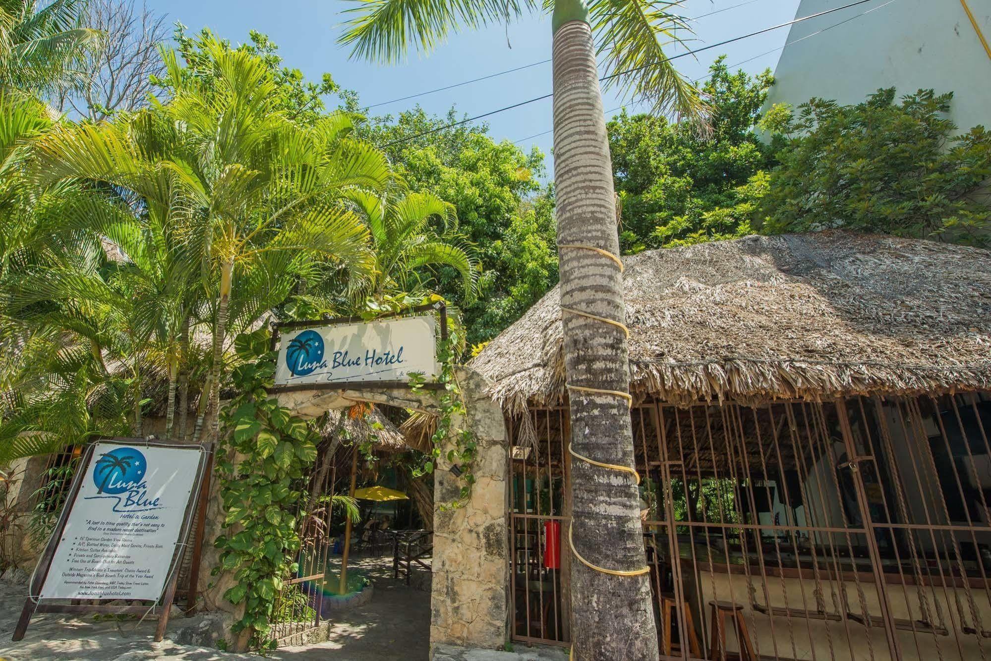 Luna Blue Hotel Playa Del Carmen Exteriör bild
